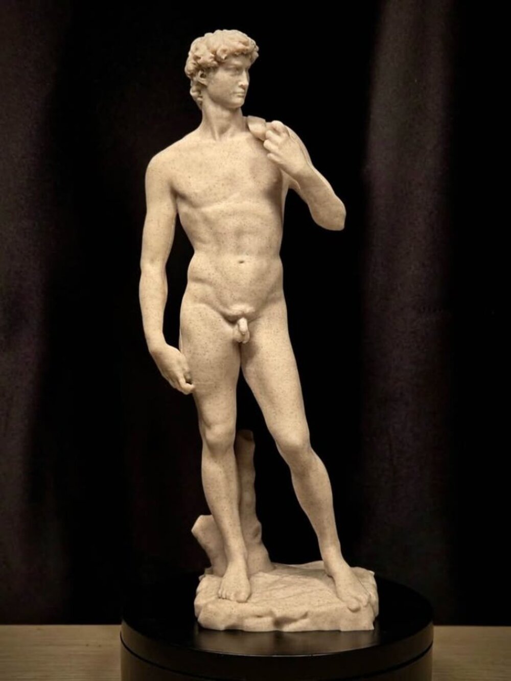 Michelangelo David Statue 10” Tall Home Decor Sculpture